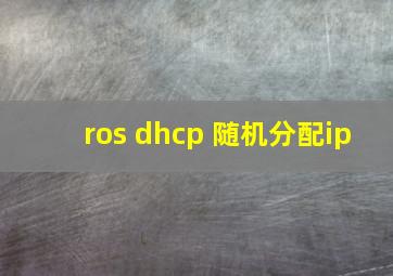 ros dhcp 随机分配ip